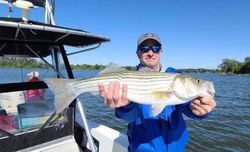 Oxford, MD Bass Fish