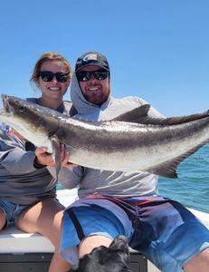 Angler holding a large cobia fish in Oxford