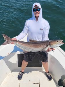 Cobia fish caught in Oxford