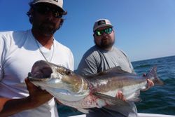 Best great fishing in MD