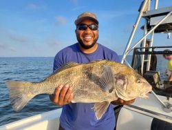 One black drum fish caught in Oxford
