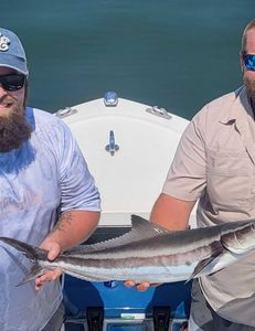 Cobia fish caught in MD