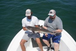 Cobia fish caught in MD