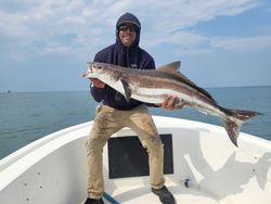 Cobia fish caught in MD