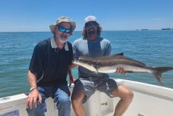A Cobia fish caught during fishing in Oxford