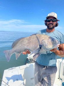 Fisherman with a large black drum fish in Oxford