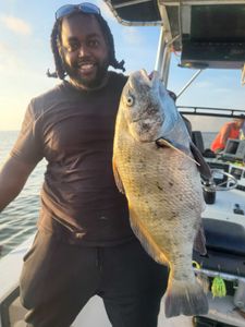 Angler fishing in Maryland