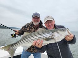 Striped bass caught while fishing in MD