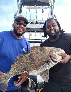 Black drum fish caught in Oxford