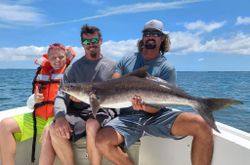 Impressive catch of a large cobia fish in Maryland