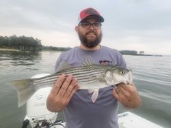 Striped bass caught while fishing in MD