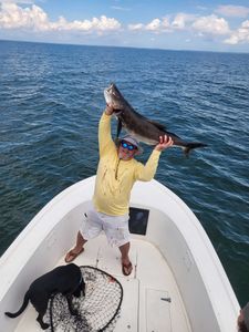 A lone angler catching a 25-inch fish in Maryland
