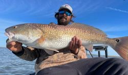 Redfish caught in MD