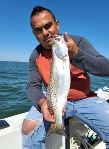 A spotted weakfish caught while fishing in MD