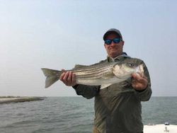 Striped Bass caught by a person in MD