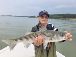Striped bass caught by angler in Maryland