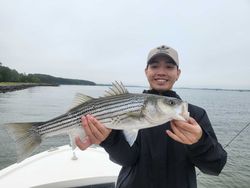 Striped bass caught in Oxford by lone angler