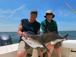 Chesapeake Bay Fishing Charters For Cobia