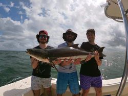 Chesapeake Bay Cobia Fishing in Virginia