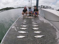 All Line up! Fresh Catch 