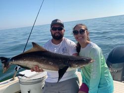 Buddies Caught Large Cobia in Chesapeake Bay