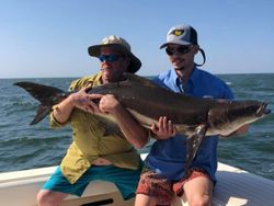 Virginia Fishing Charters for Cobia