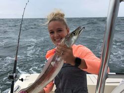 Bluefish Caught in Poquoson, VA