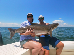 Cobia fish caught by two people in VA