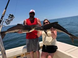 Two cobia, 38-inch fish, fishing in Gloucester County