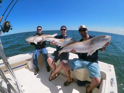 2 large fish caught while fishing in Gloucester County