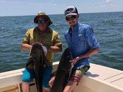 Three big fish caught while fishing in Virginia