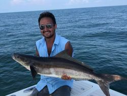 Cobia fish caught fishing in VA