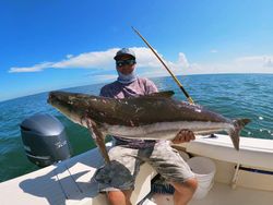 Cobia fish caught in Gloucester County