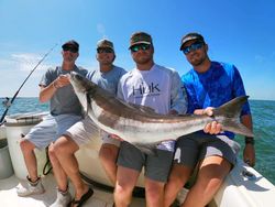 Cobia fish caught in Virginia