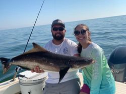 Cobia fish caught in Gloucester County