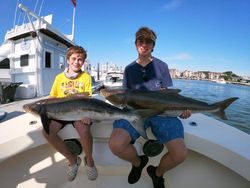 Two large cobia fish caught during a fishing trip in Virginia
