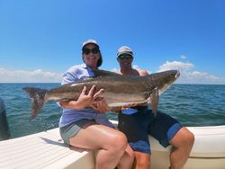A 42-inch Cobia fish caught while fishing in VA