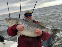Striped bass caught in Gloucester County