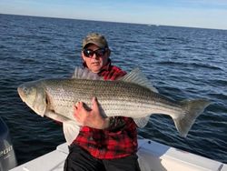 Striped bass caught fishing in Gloucester County