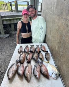 8 African Pompano fish caught in Port Orange