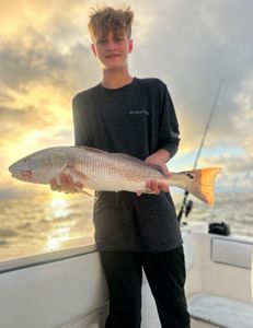 Keeper sized red fish 