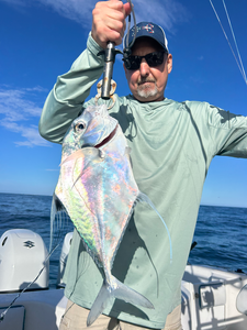 Beautiful African Pompano landed in Port Orange waters!