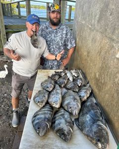 Three big sheepshead fish caught in FL