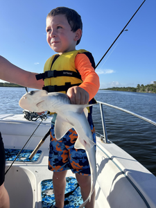 Deep sea trolling pays off with an Atlantic Sharpnose in Port Orange!