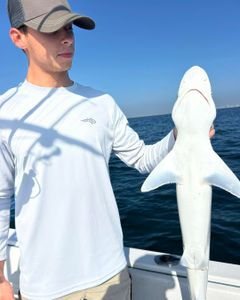 Atlantic Sharpnose Shark caught while fishing in Port Orange FL
