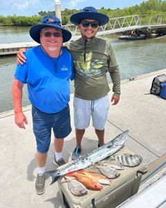 Great barracuda and sheepshead caught fishing in Port Orange FL displayed on dock