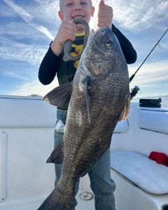 Photo of a big black drum fish caught while fishing in Port Orange