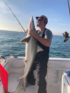 Impressive catch of a blacktip shark measuring 70 inches in Port Orange.
