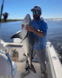 Bonnethead Shark caught while fishing in Port Orange