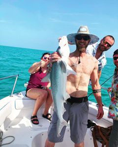 Bonnethead shark caught while fishing at Port Orange